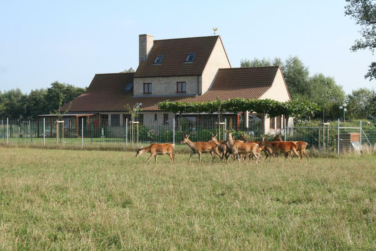 Villa 'T Leeg Huys Lo-Reninge Exterior foto